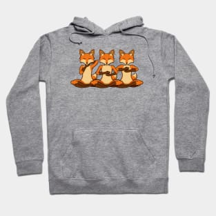 Three times fox at reiki Hoodie